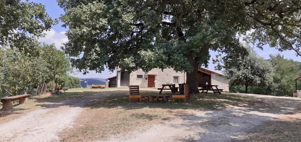 Casale Al Lago Con Piscina E Sauna Corbara  Buitenkant foto