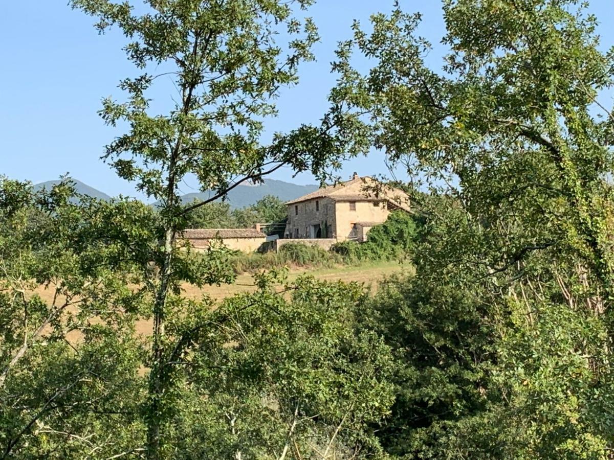 Casale Al Lago Con Piscina E Sauna Corbara  Buitenkant foto