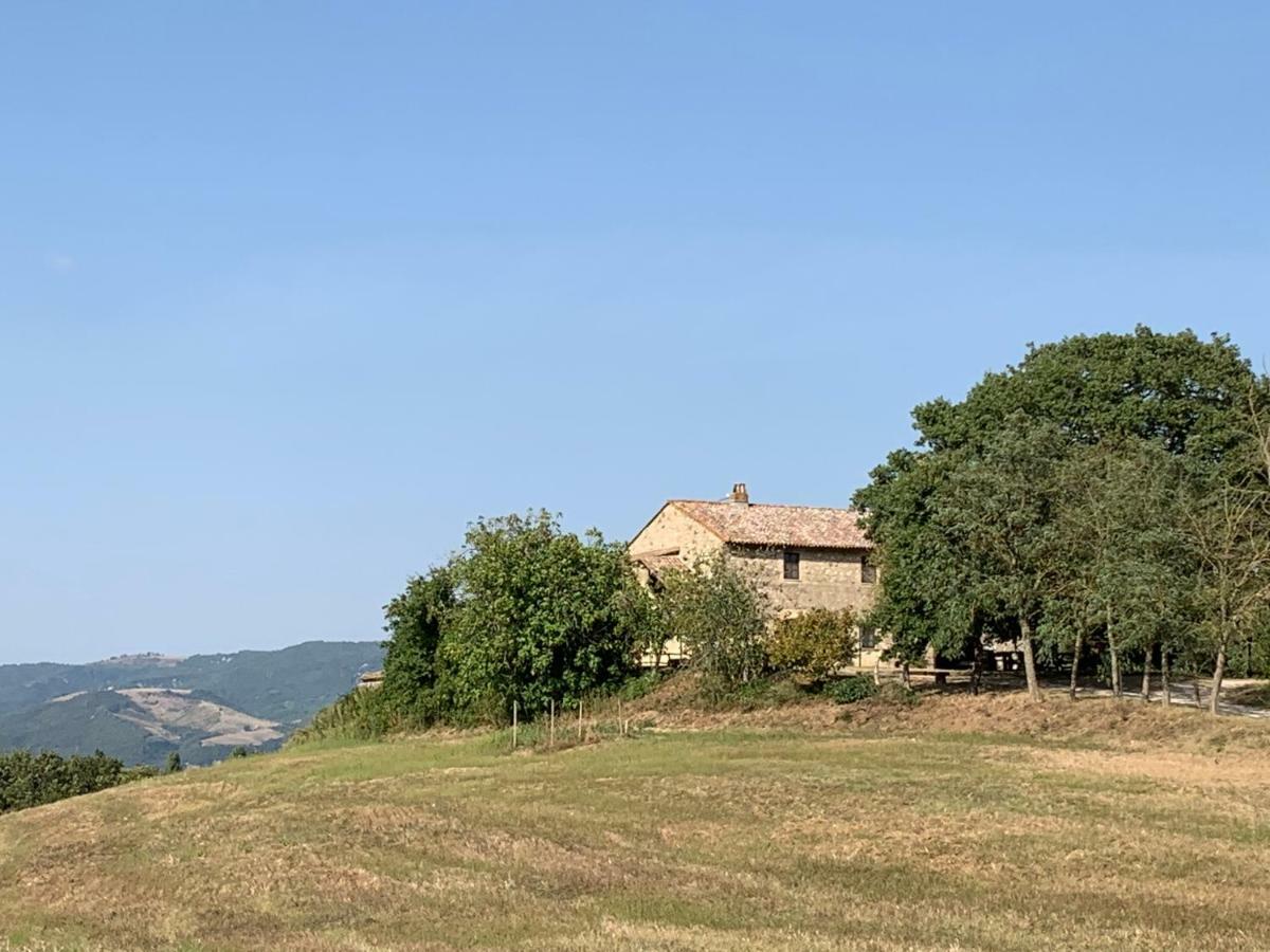 Casale Al Lago Con Piscina E Sauna Corbara  Buitenkant foto