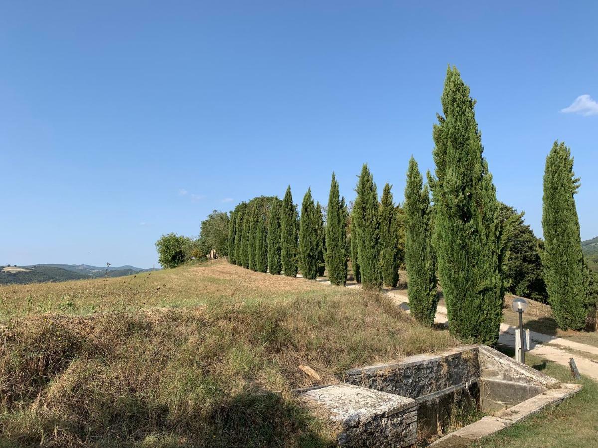 Casale Al Lago Con Piscina E Sauna Corbara  Buitenkant foto