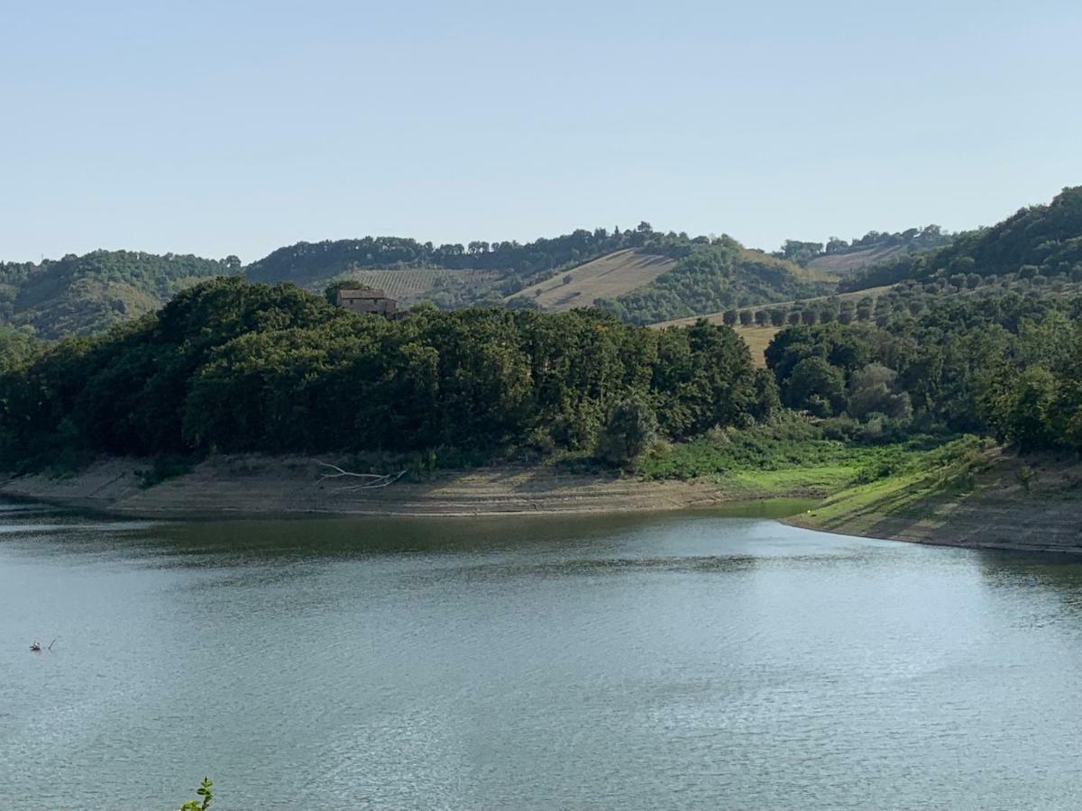 Casale Al Lago Con Piscina E Sauna Corbara  Buitenkant foto