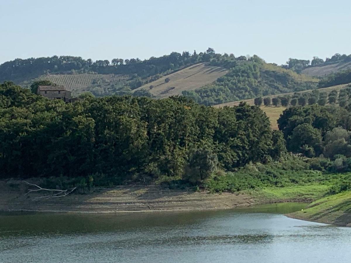 Casale Al Lago Con Piscina E Sauna Corbara  Buitenkant foto